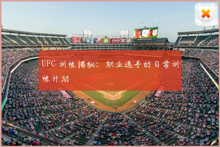 UFC 训练揭秘：职业选手的日常训练计划