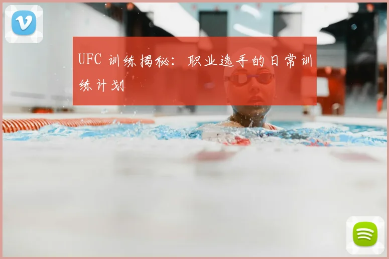 UFC 训练揭秘：职业选手的日常训练计划
