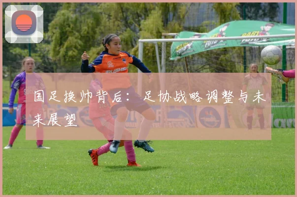 国足换帅背后：足协战略调整与未来展望